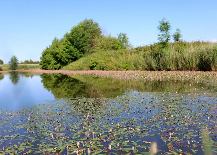 Ferienhaus Letniskowe Z Lowiskiem *