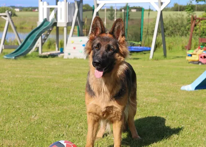 Letniskowe Z Lowiskiem * Ustronie Morskie